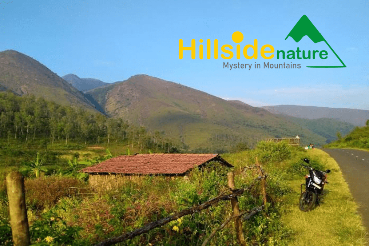 Hillside Nature - PractoMind Group